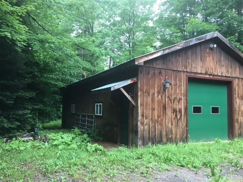 Cabin 13 Acres Adirondack Foot : Little Falls : Herkimer County : New York