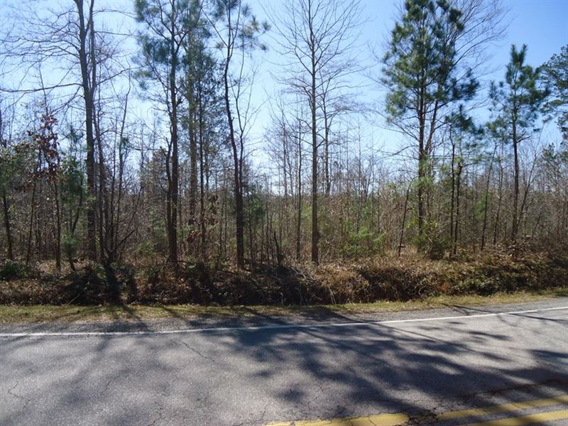 Building Lot Prime Residential Area : Winnsboro : Fairfield County : South Carolina