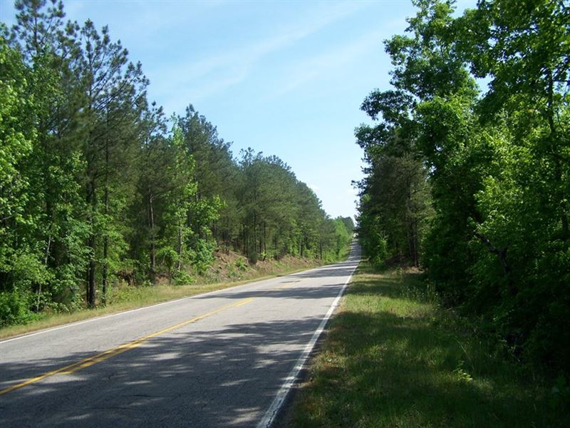 Rural Winnsboro, SC Wooded Acreage : Winnsboro : Fairfield County : South Carolina
