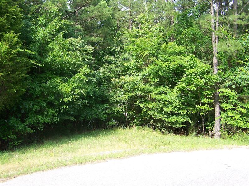 Lake Monticello, SC Waterfront : Blair : Fairfield County : South Carolina