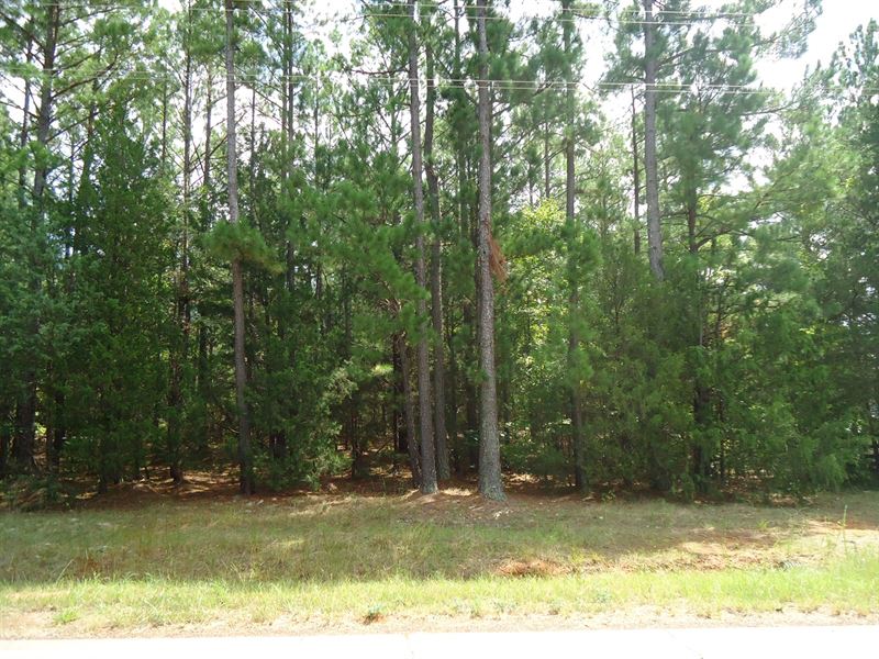 Nice.74 Acre Lot Lake Monticello : Blair : Fairfield County : South Carolina