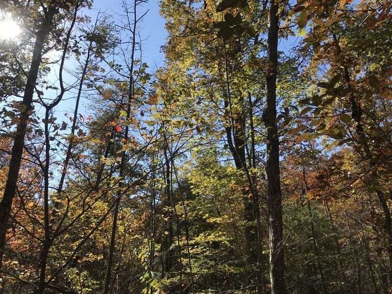 Private Residential/Farm 5.89 Acres : Pikeville : Bledsoe County : Tennessee