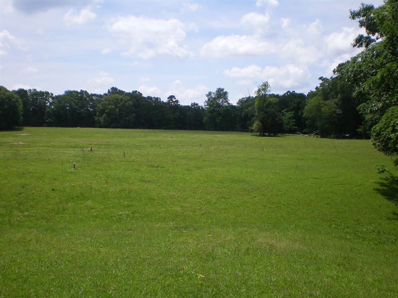Farm Land Hardin County Row Crop : Adamsville : Hardin County : Tennessee