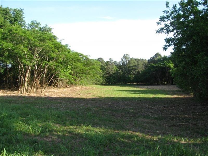 Commercial Land Adamsville, TN 2.03 : Adamsville : McNairy County : Tennessee