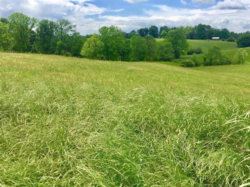 Land Cookeville Tn, Putnam County : Cookeville : Putnam County : Tennessee