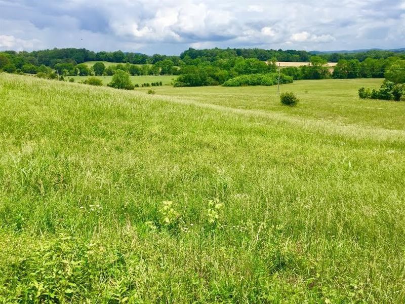 Building Lot Cookeville Tn, Putnam : Cookeville : Putnam County : Tennessee