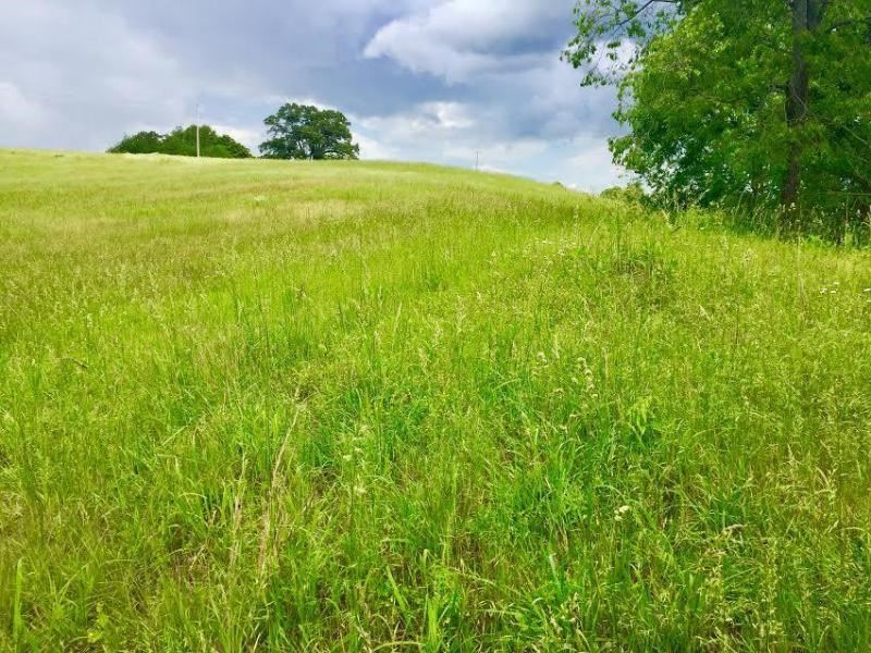Development Land Cookeville TN : Cookeville : Putnam County : Tennessee