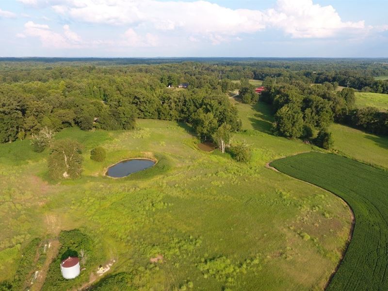 Henderson County, TN 130 Acres Crop : Darden : Henderson County : Tennessee