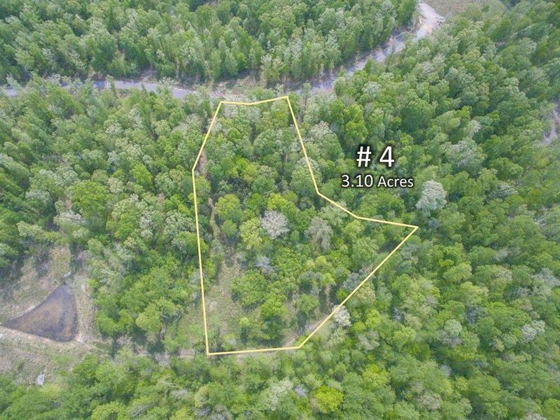 Land in Franklin Tennessee : Franklin : Williamson County : Tennessee
