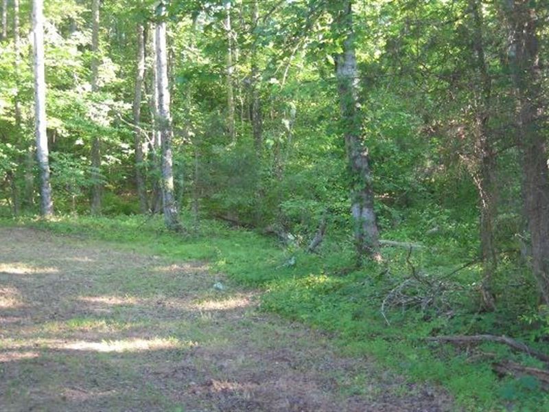 Unrestricted Building Land, 4 ac : Saltillo : Decatur County : Tennessee