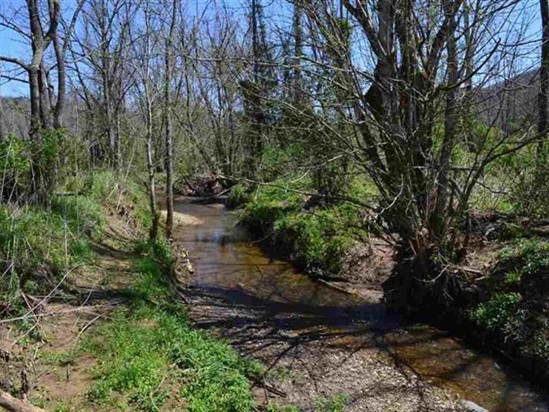 East Tennessee Hunting Property : Sneedville : Hancock County : Tennessee