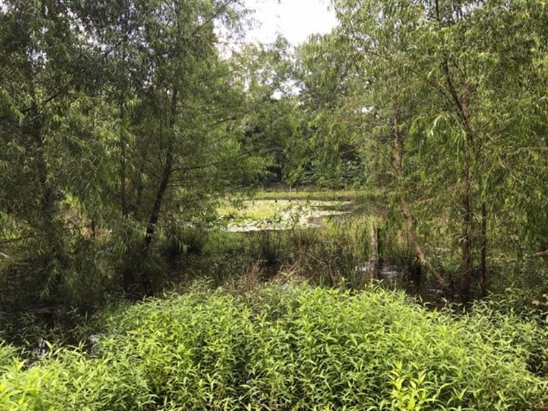 East Texas Land, Recreational : Henderson : Rusk County : Texas