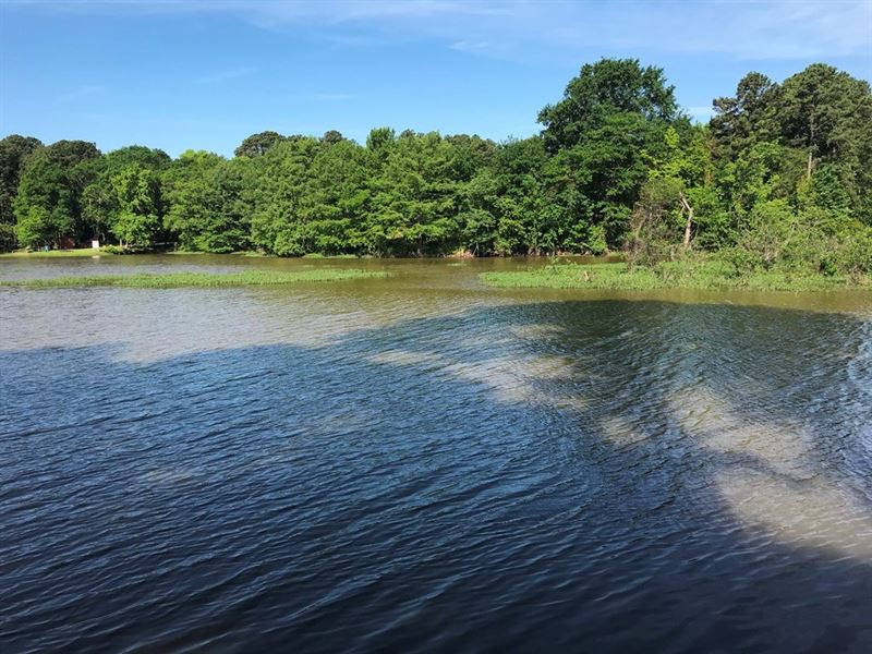 Lake Palestine Waterfront Lot Land for Sale in Chandler, Henderson