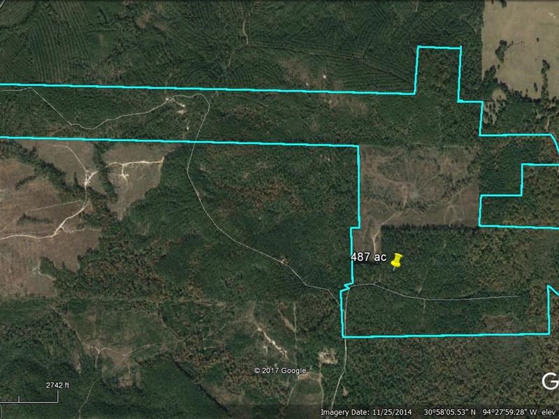 487 Acres Recreational Hunting Land : Colmesneil : Tyler County : Texas