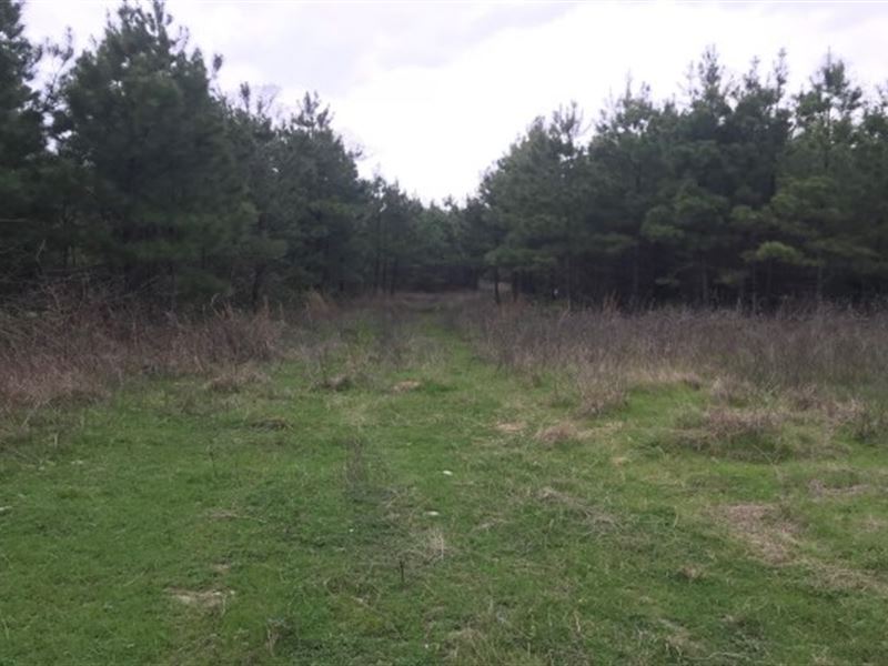 Hunting / Recreation Bowie County : De Kalb : Bowie County : Texas