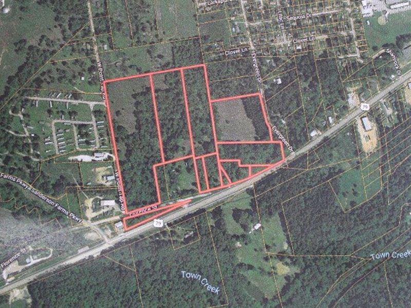 Commercial, Residential Development : Palestine : Anderson County : Texas