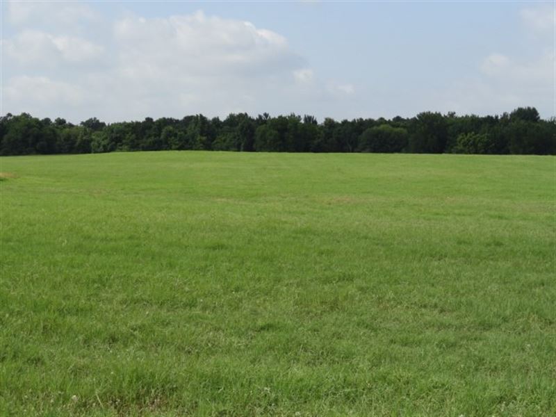 Farms for Sale, Ranches, Hunting Land for Sale - Land and Farm