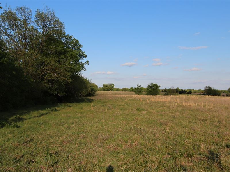 Country Ranch Land Petty Texas : Petty : Lamar County : Texas