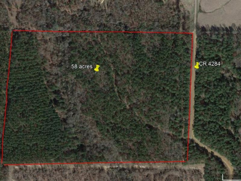 Hunting / Recreation Bowie County : Simms : Bowie County : Texas