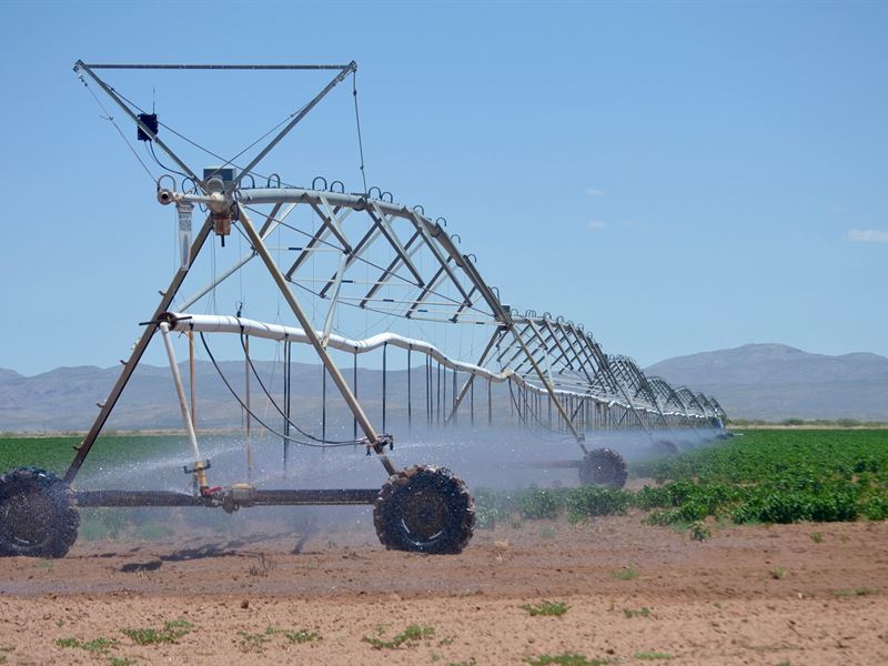 Water Investment Opportunity : Van Horn : Culberson County : Texas