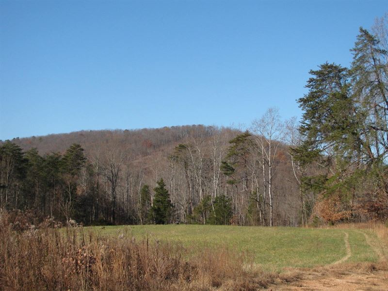 42Ac View Turkey Cock Mountain Land for Sale in Chatam, Pittsylvania
