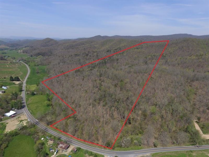 51 Wooded Acres in Ceres, VA : Ceres : Smyth County : Virginia