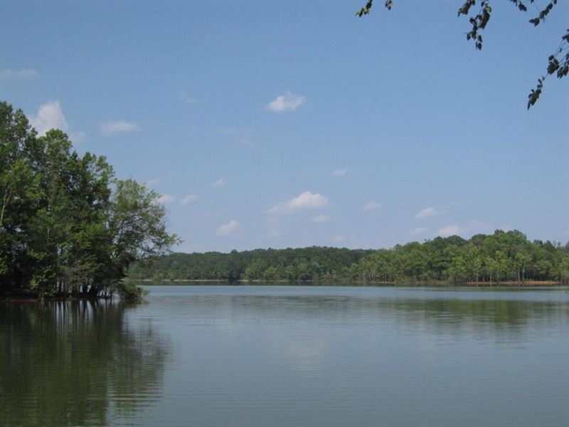 25 Acres Adjoining Kerr Lake, VA : Clarksville : Mecklenburg County : Virginia