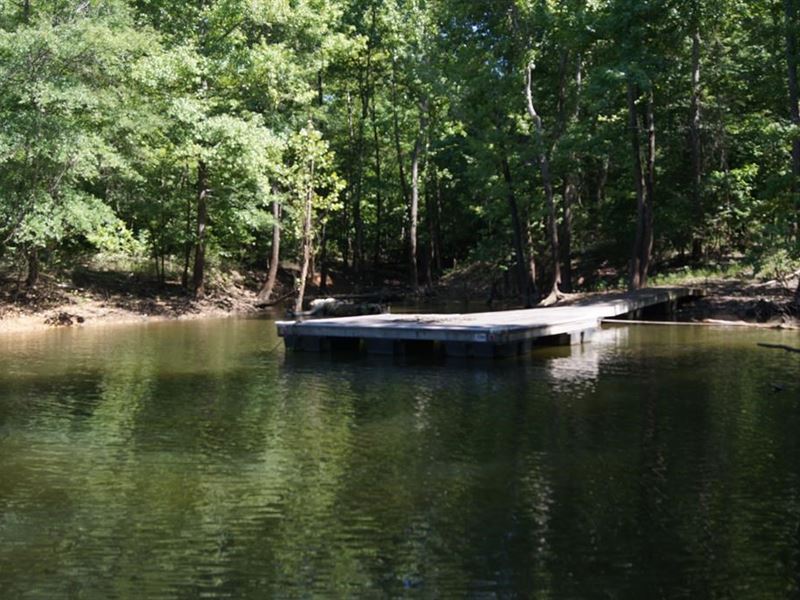 3 Wooded Waterfront Lots Buggs : Clarksville : Mecklenburg County : Virginia