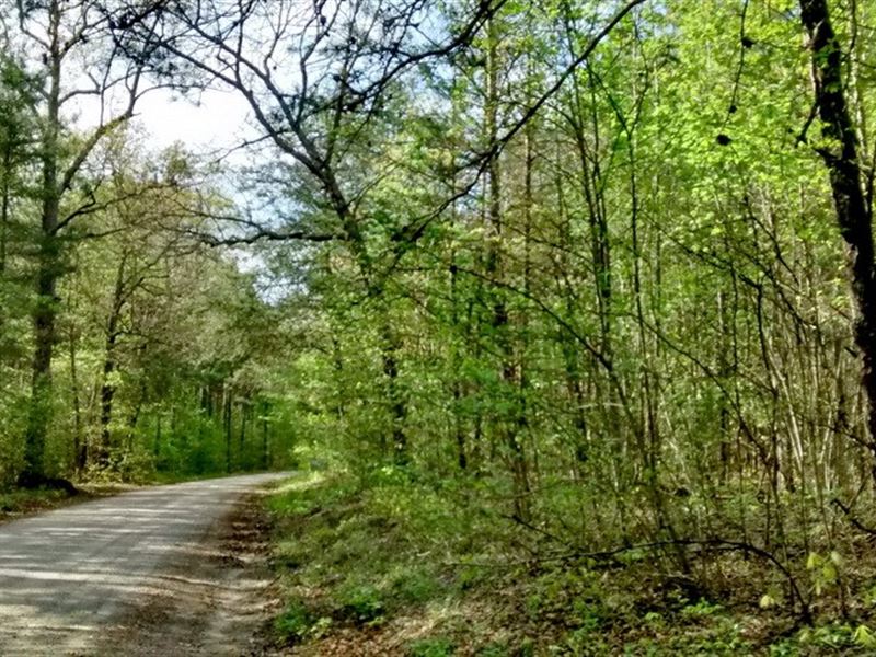 4.48 Acre Lunenburg County, VA : Drakes Branch : Lunenburg County : Virginia