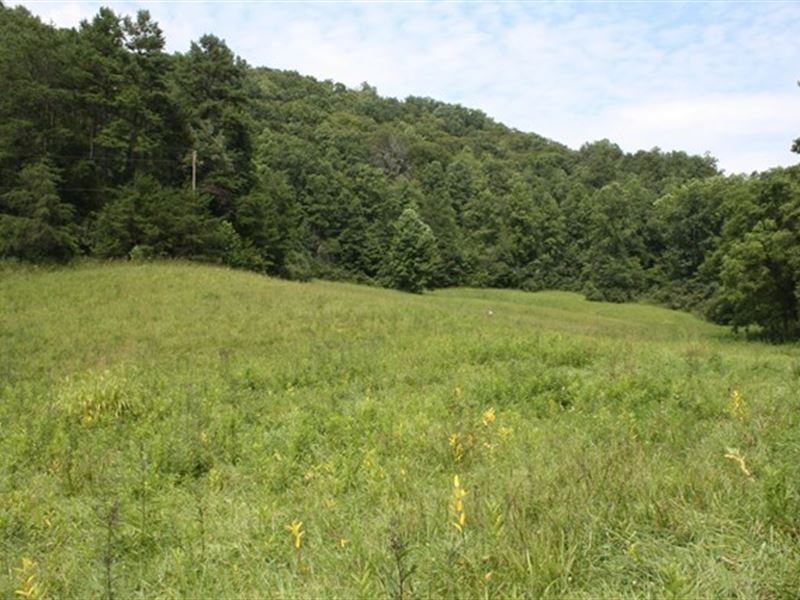 Large Hunting Recreational Tract : Dungannon : Scott County : Virginia
