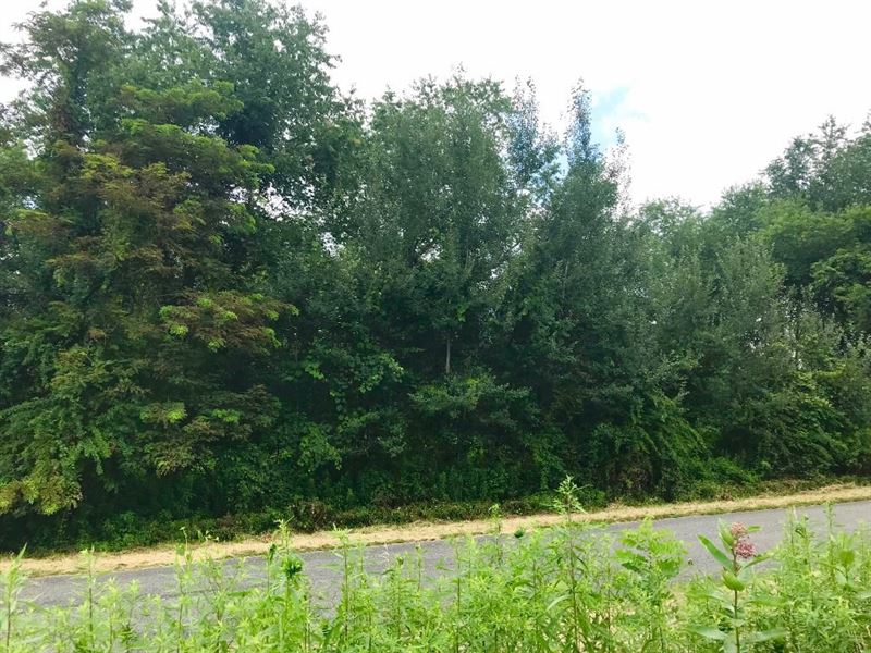 Quiet Lot Golf Course Laurel Fork : Laurel Fork : Carroll County : Virginia