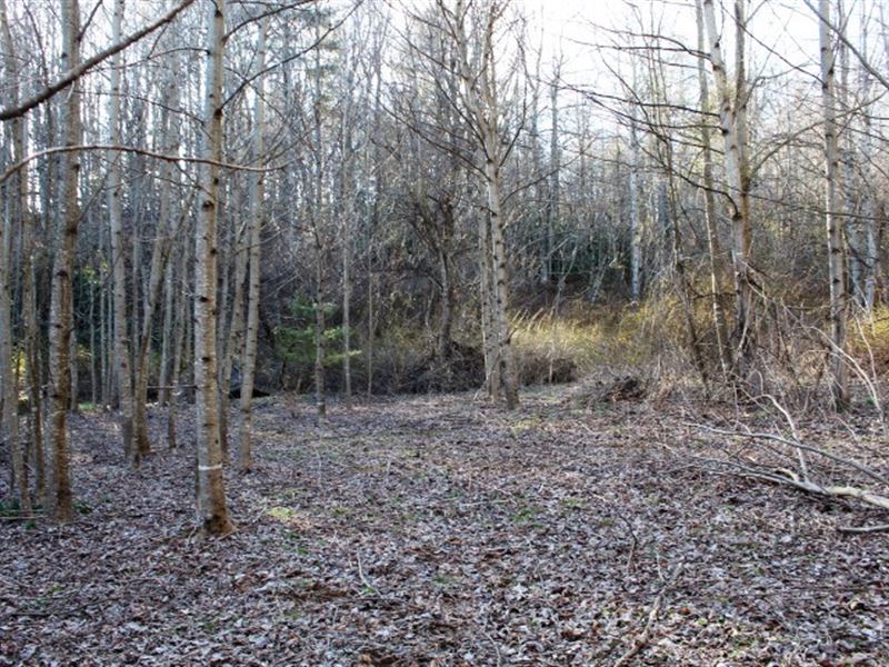 23.1 Acres Land Patrick County : Meadows Of Dan : Patrick County : Virginia