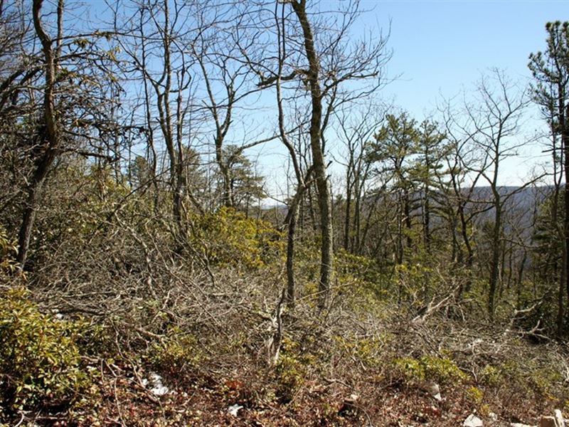 6.89 Acres High Brushy Mt, Highland : Monterey : Highland County : Virginia