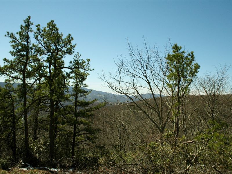 5.750 Acres Mountain Top Highland : Monterey : Highland County : Virginia