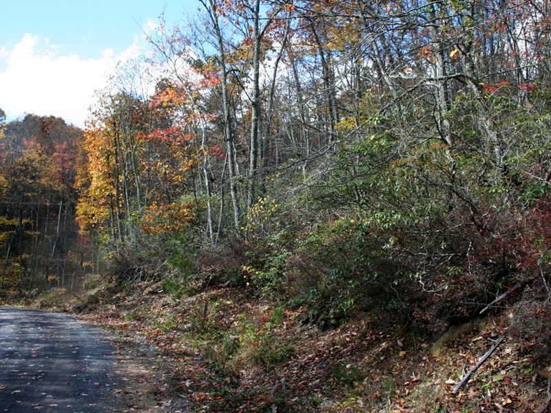 Wooded Building Lots : Monterey : Highland County : Virginia