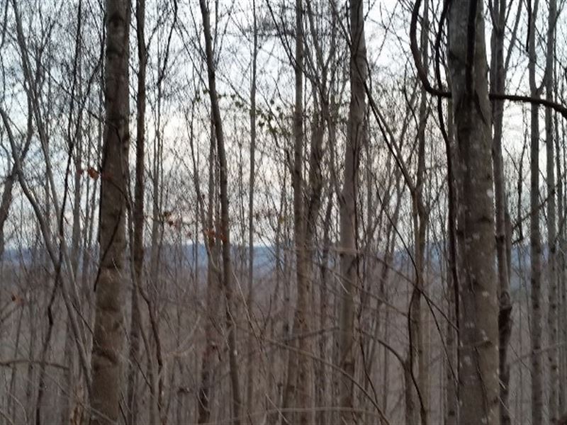 Wooded VA Recreational Building : Stuart : Patrick County : Virginia