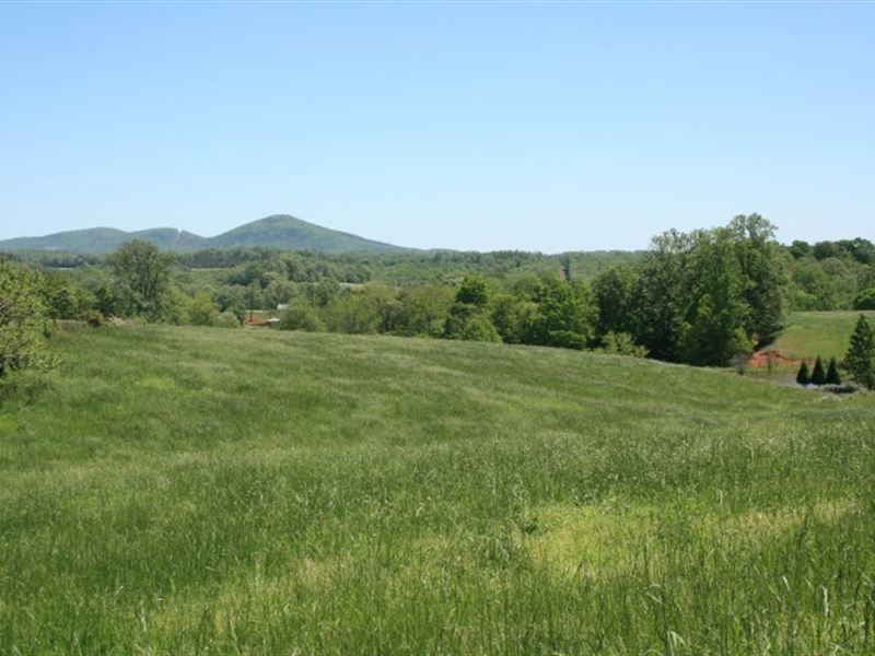 278.86 Acres Land Patrick County : Stuart : Patrick County : Virginia