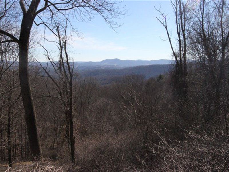 Lot 117 Blue Ridge Mountain : Independence : Grayson County : Virginia