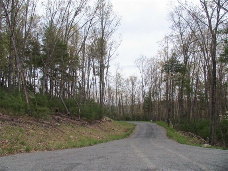 Wooded Acreage for Sale : Independence : Grayson County : Virginia