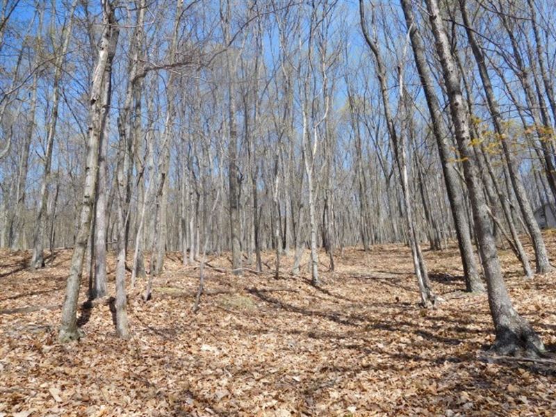 Land for Sale in Delray, WV : Delray : Hampshire County : West Virginia