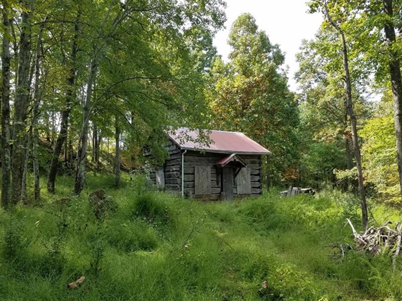 One Kind Historical Hand Hued Log : Ellenboro : Pleasants County : West Virginia