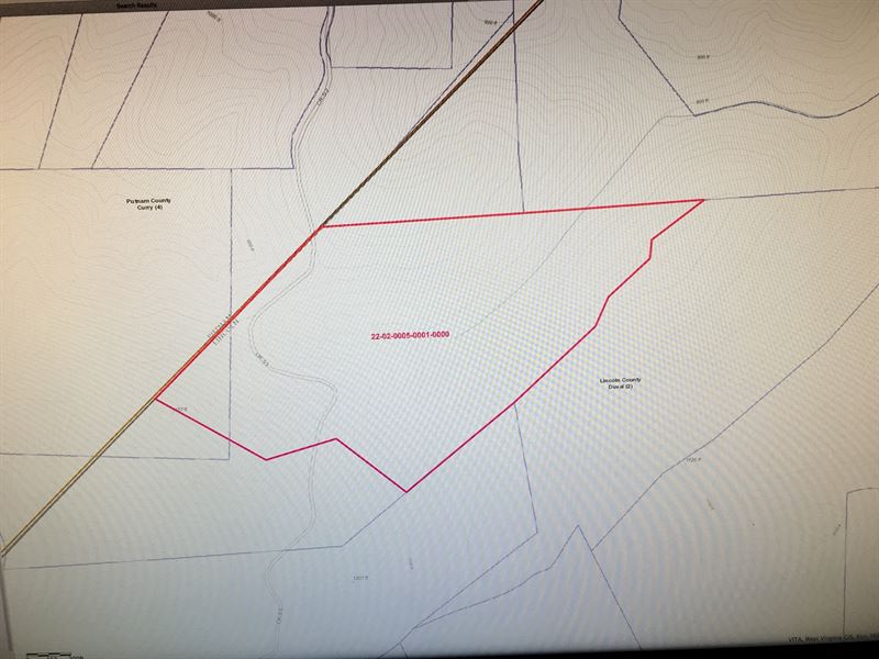 73 Acres, Mature Timber Option : Toney : Lincoln County : West Virginia