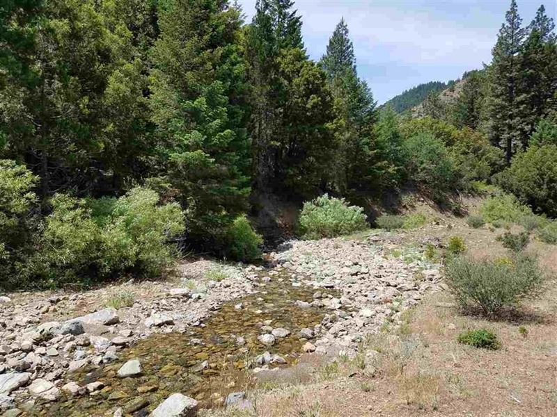 Cherry Hill Placer Mine for Sale : Fort Jones : Siskiyou County : California