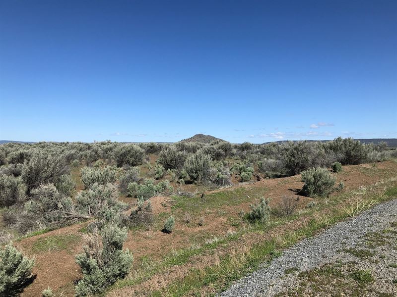 Land For Sale, Northern California Land for Sale in Alturas, Modoc