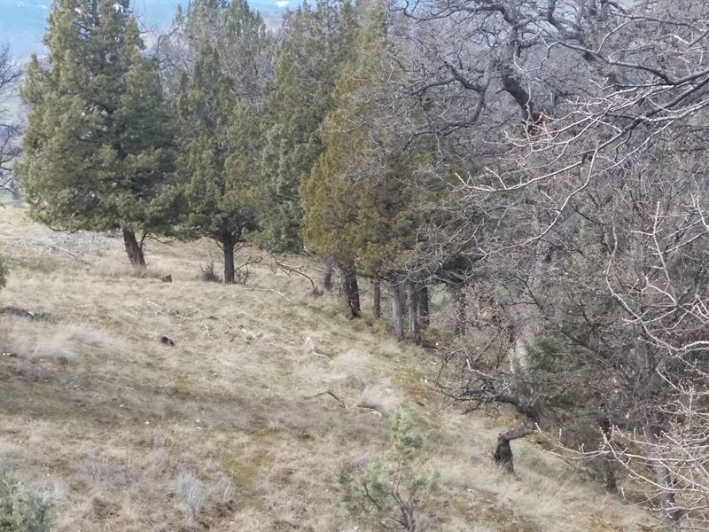 N, CA Siskiyou County Private : Hornbrook : Siskiyou County : California