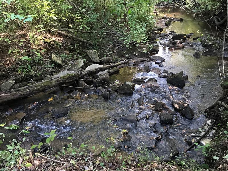 Property Overlooking Rock Creek Land for Sale in Jasper, Pickens