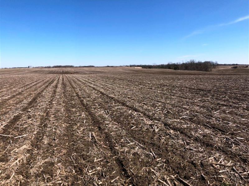 Wapello County Farm Land for Sale : Blakesburg : Wapello County : Iowa