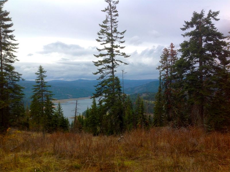 Building Lots Dworshak Reservoir Land for Sale in Orofino, Clearwater
