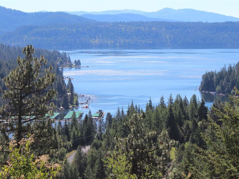 North Idaho Acreage Overlooking : Worley : Kootenai County : Idaho