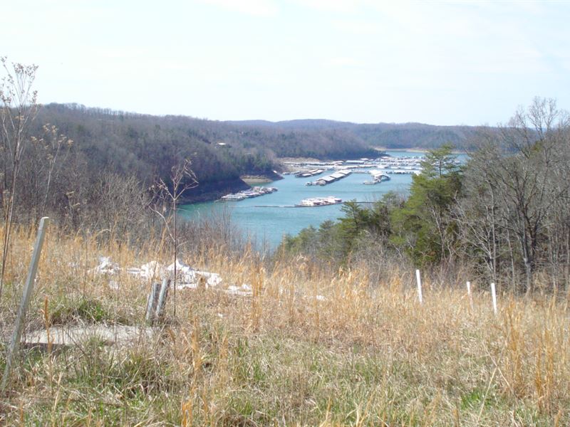 Land Lake Cumberland, Albany, KY : Albany : Clinton County : Kentucky